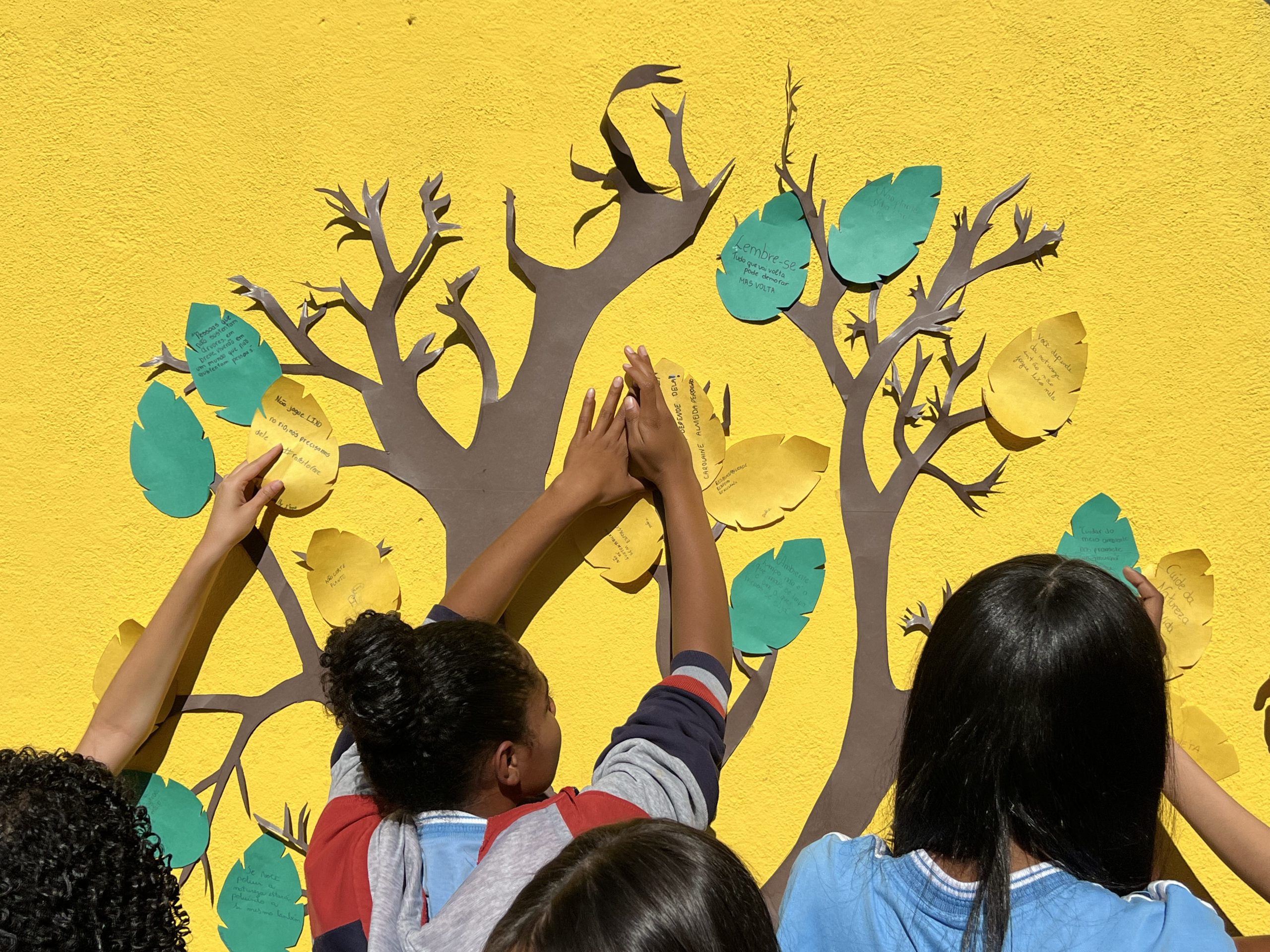 Dia da Amazônia: a conscientização ambiental começa na escola